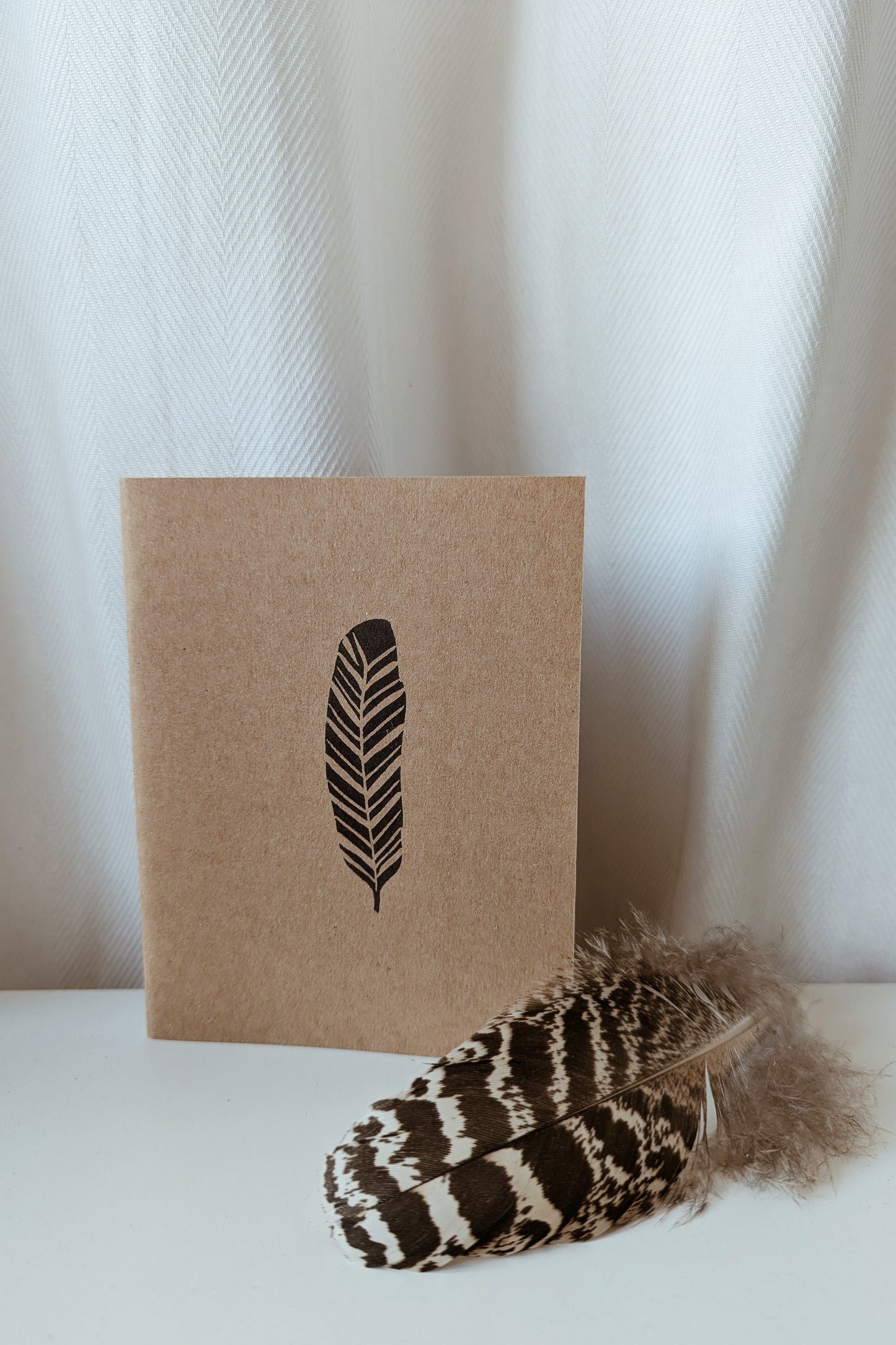 Libreta Pluma