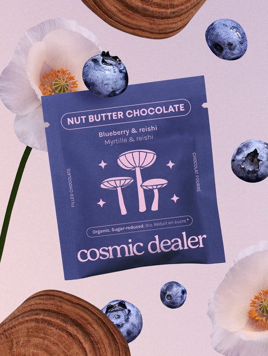 Bombón saludable de ARÁNDANOS & REISHI • Cosmic Dealer